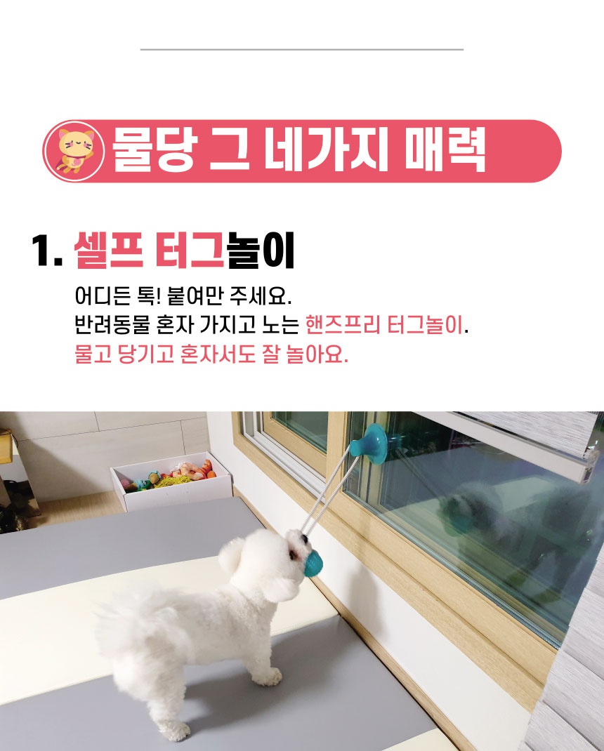 리스펫 강아지 셀프 터그놀이 장난감 그린-상품이미지-5