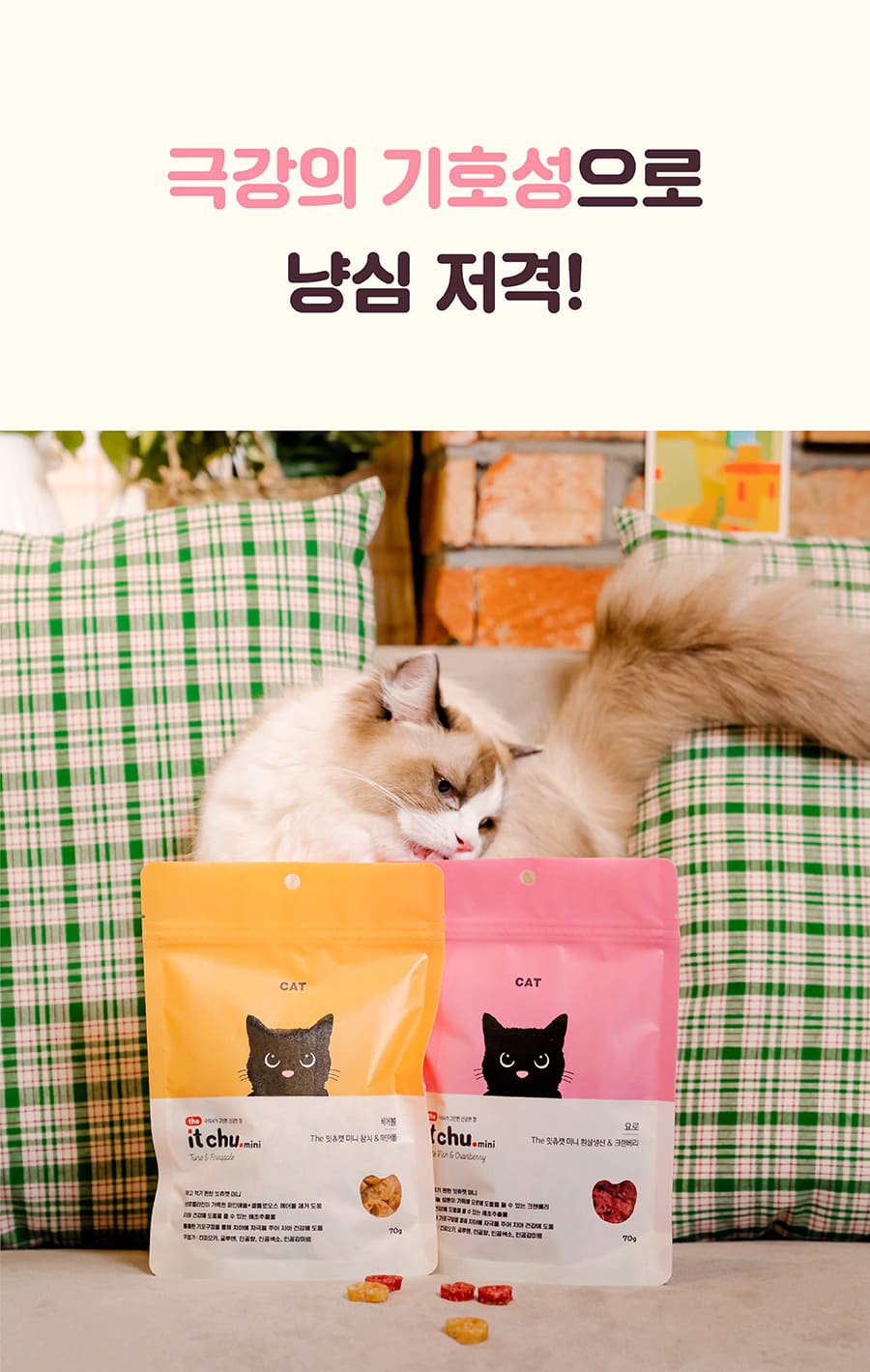it 더 잇츄 캣 미니 (흰살생선&크랜베리/참치&파인애플)-상품이미지-4
