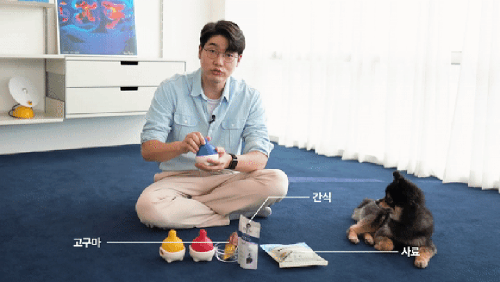닥터설 플레이 멀티볼 (블루,옐로우,레드)-상품이미지-13