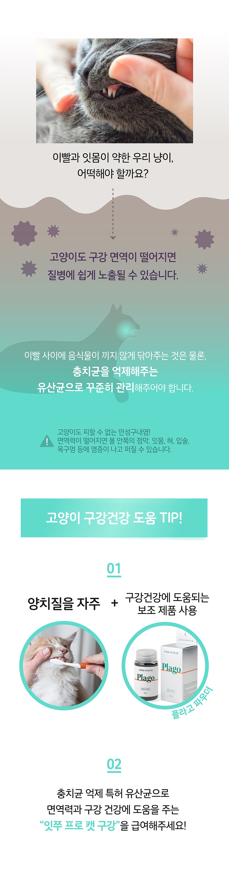 it 잇쭈 프로 캣 구강 대용량 (8개입*4개)-상품이미지-2