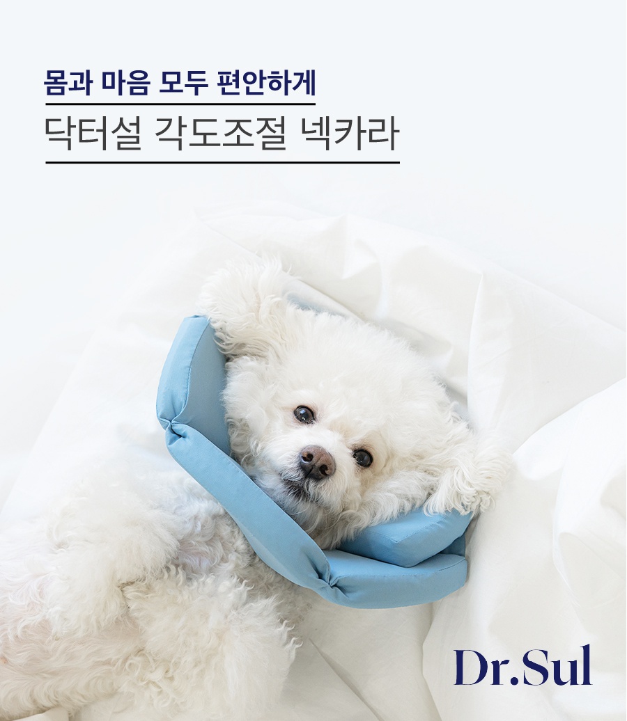 닥터설 각도조절 넥카라 (옐로우/블루/네이비)-상품이미지-4