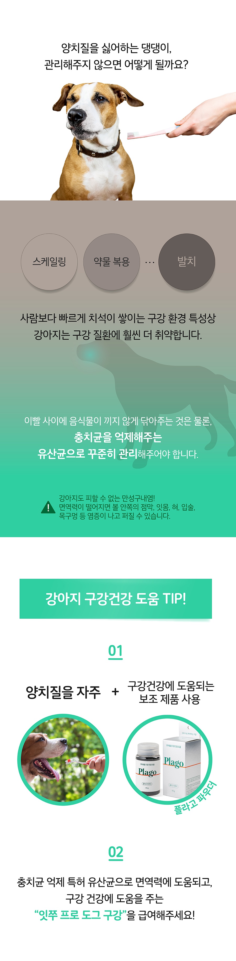 It 잇쭈 프로 도그 3종 (구강/비만/면역)-상품이미지-2
