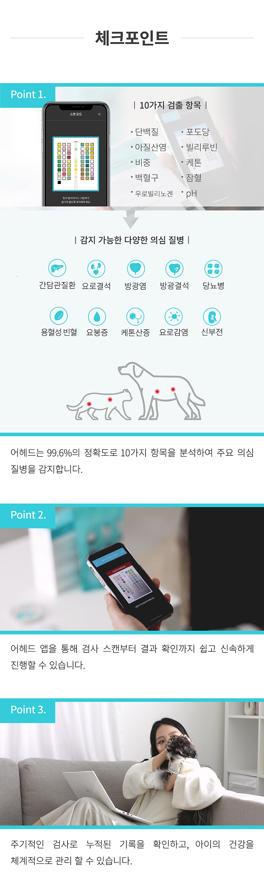 핏펫 어헤드-상품이미지-6